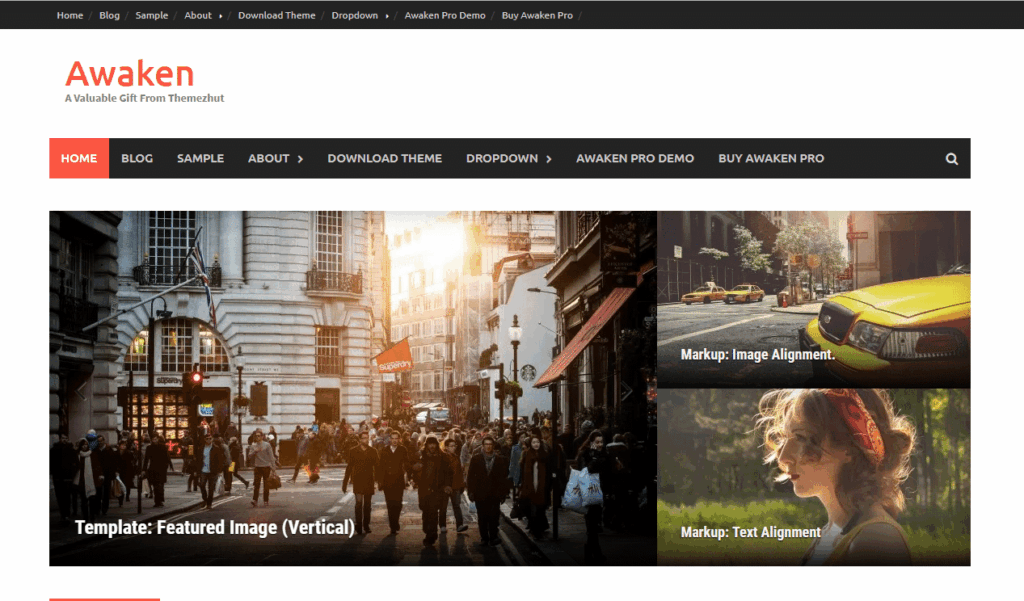Best 15 Free Responsive Multipurpose WordPress Themes - DesignHooks