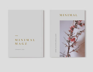 Magazine Cover PSD Mockup Download for Free - DesignHooks