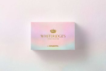 Business Card Mockup Free PSD