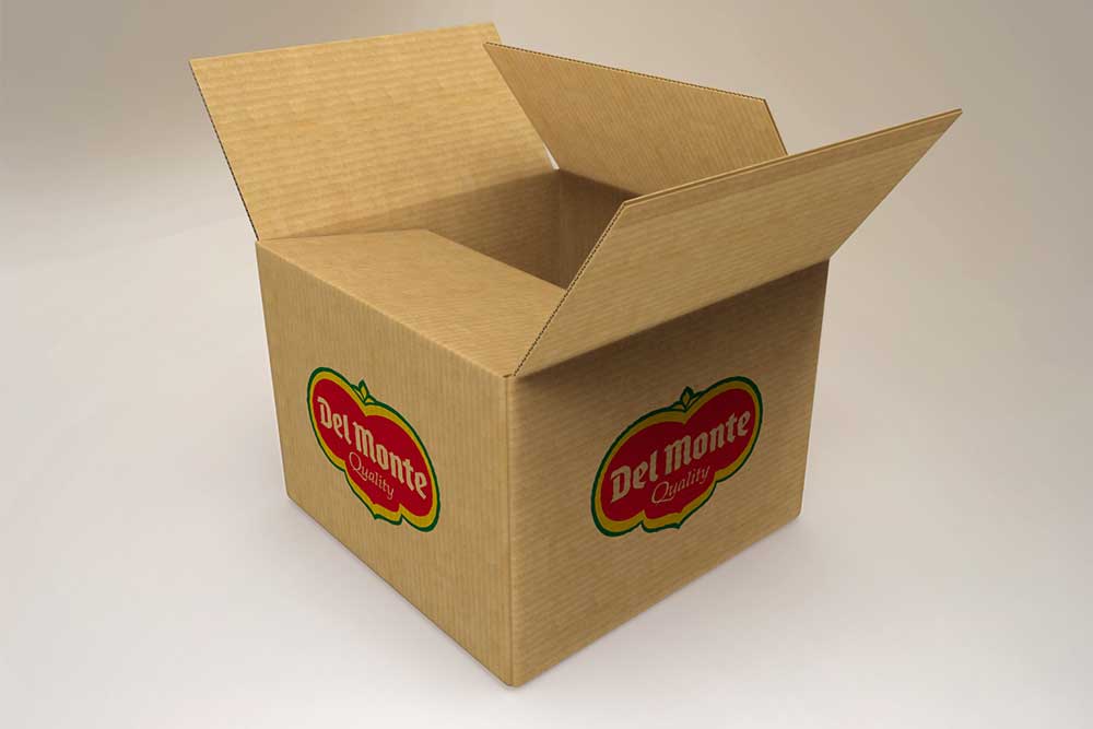 Download Download This Cardboard Box Packaging Mockup In PSD - Designhooks