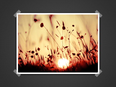 Image Presentation Scene