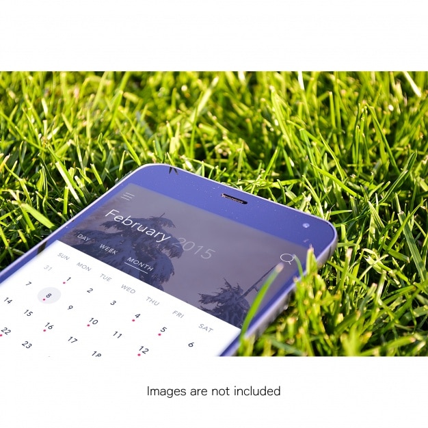 Smartphone Plus Grass