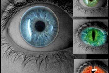 Free Colorful Realistic Eyes Mockup in PSD