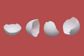 Free Cracked Egg Shells Mockup in PSD