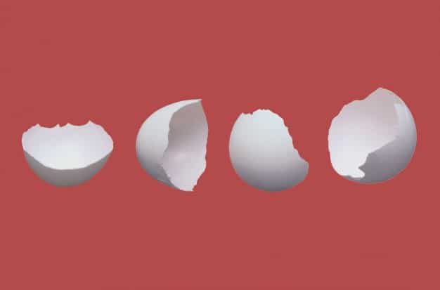 Cracked Egg Shells