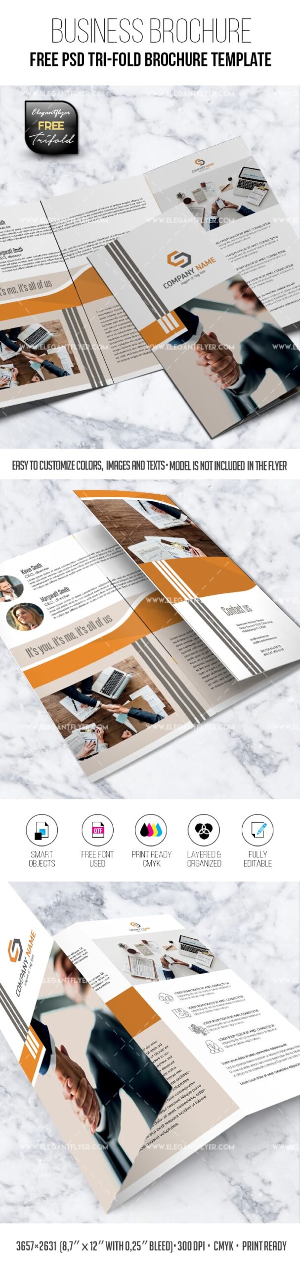 Free A4 tri-fold business brochure in PSD mockup