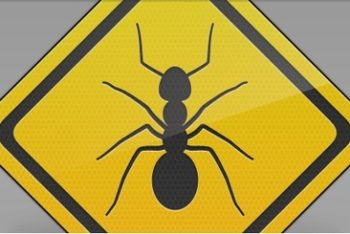 Free Bug Pest Sign Concept Mockup in PSD