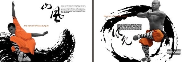 Kung Fu Plus Shaolin Monk