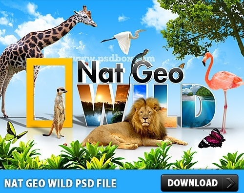 Nat Geo Wild Concept