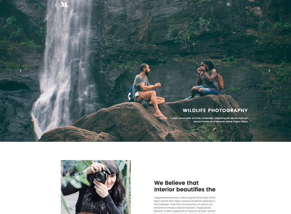 Free Wildlife Photography Website HTML Template DesignHooks