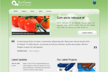 Free Eco Friendly Website Theme HTML Template