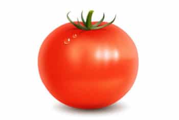 Free Shiny Tomato Vector Design Mockup in PSD
