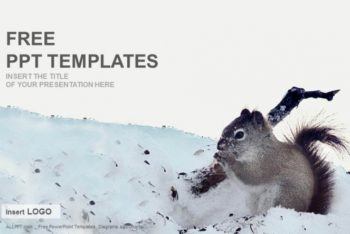 Free Squirrel Plus Winter Snow Powerpoint Template