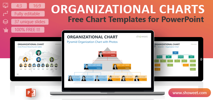 Online Organizational Chart Template