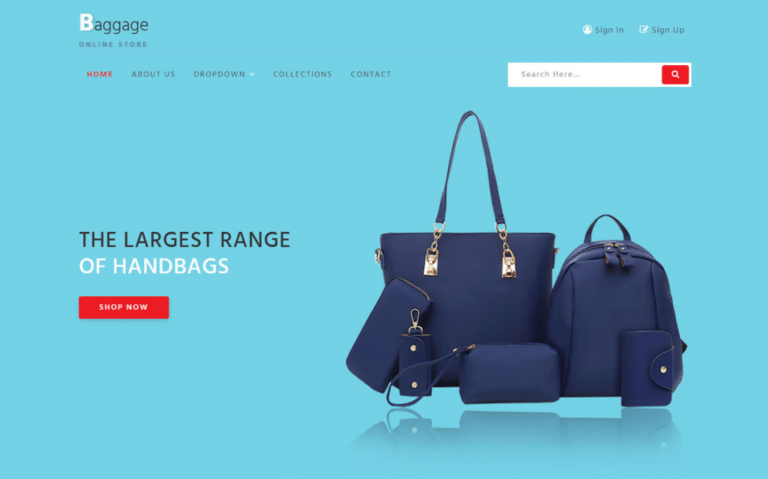 Bag Ecommerce Website Template Download Free - DesignHooks