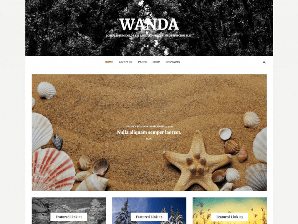 Wanda Lite - A Free WordPress Theme - DesignHooks
