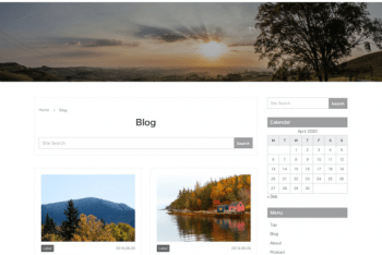 Raccoon – Base WordPress Theme