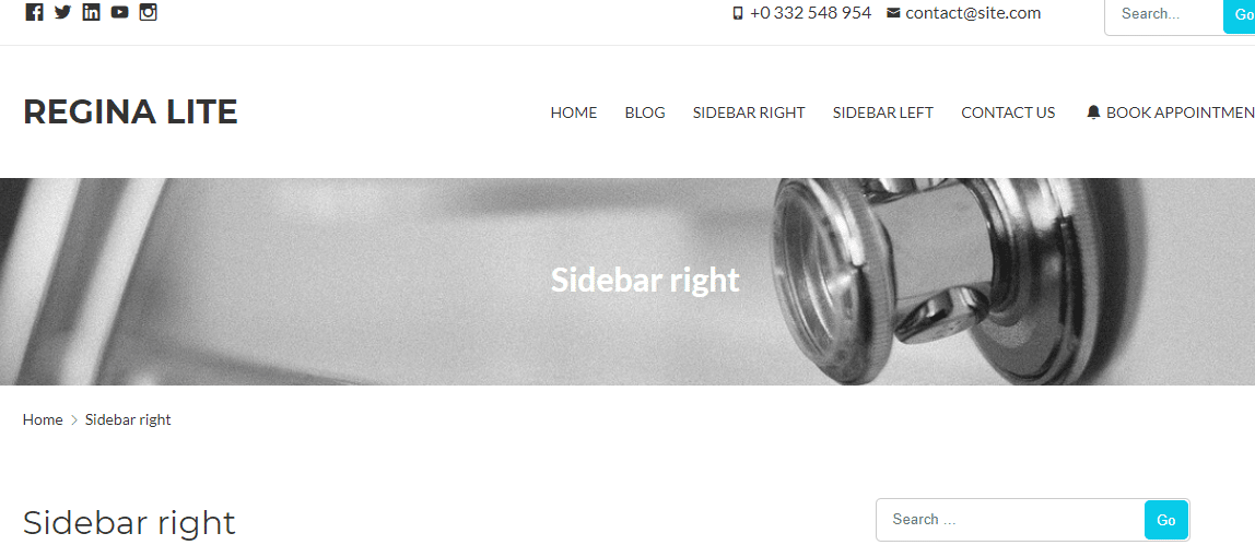 Regina Lite WordPress Theme