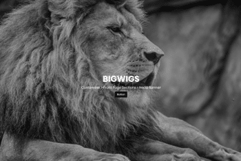 Bigwigs – A Free WordPress Theme
