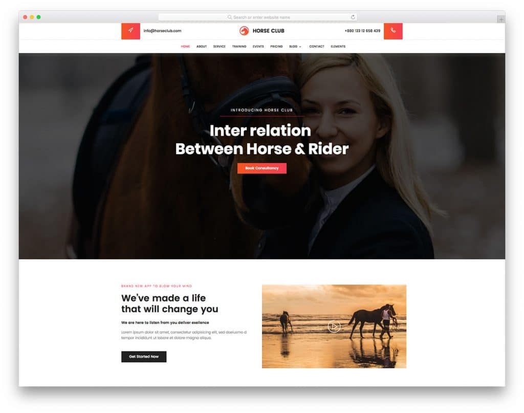 Horse Club - Horse-Related Website HTML Template - DesignHooks