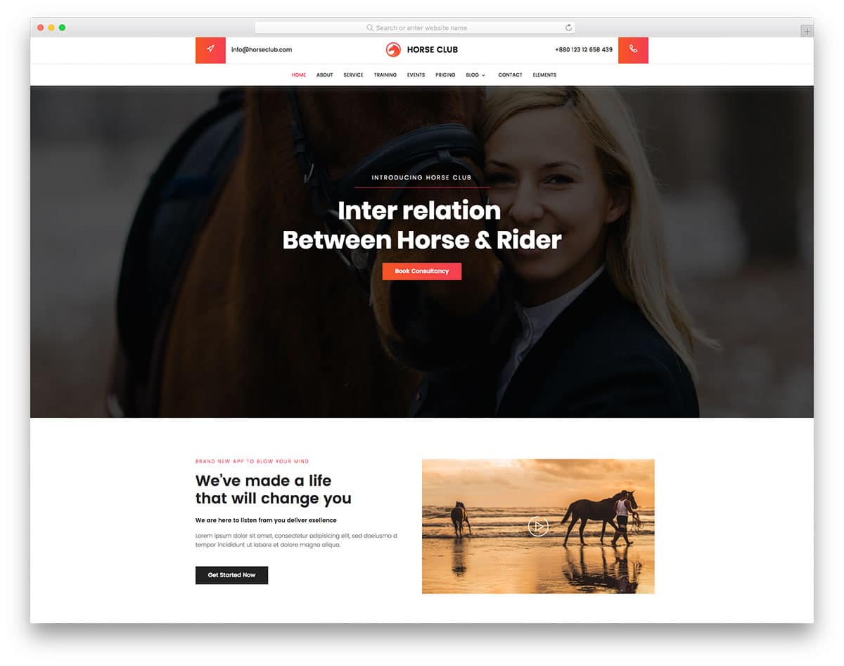 Horse Club - horse-related website HTML template