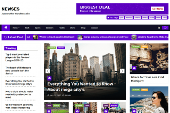 Newses – A Free News Website WordPress Theme