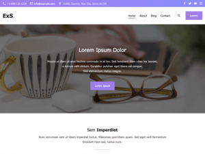 ExS - Multipurpose WordPress Theme for Free - DesignHooks