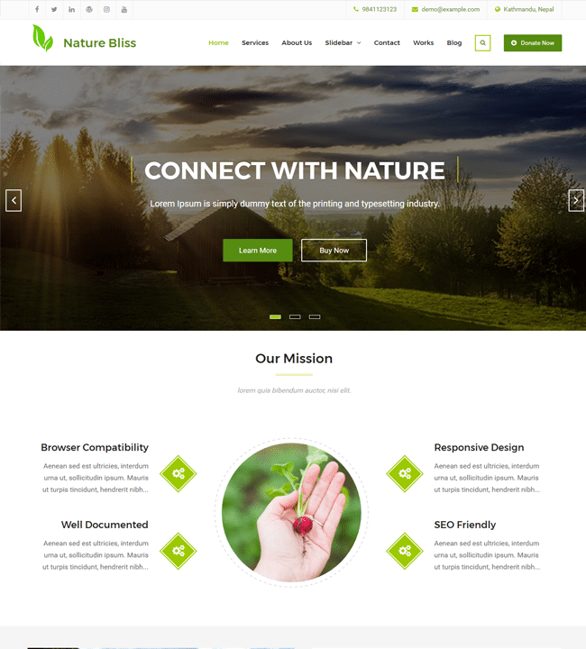 Nature Bliss - Environment Website WordPress - DesignHooks