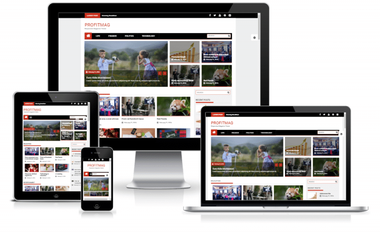Profitmag - Responsive Magazine WordPress Theme - DesignHooks