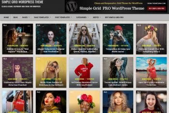 Simple Grid – Multipurpose WordPress Theme for Free