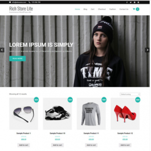 Rich Store Lite - Ecommerce WordPress Theme for Free - DesignHooks