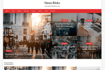 Newsblocks – Publishing Website WordPress Theme for Free