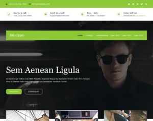 Spourmo - A Free Responsive HTML Template - DesignHooks