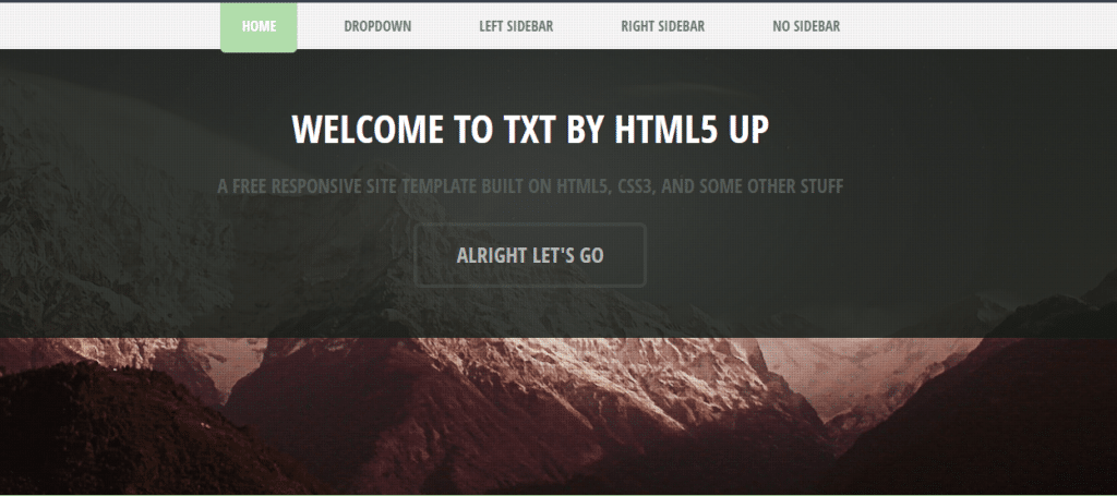 TXT - Free Responsive HTML Template - DesignHooks